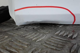 Porte arriere gauche RENAULT CLIO 3 Photo n°3