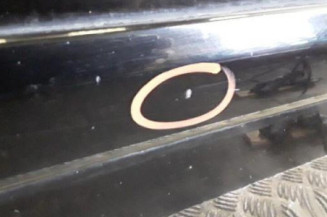 Porte arriere droit VOLKSWAGEN POLO 4 Photo n°4