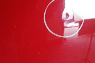 Porte arriere gauche SEAT IBIZA 3 Photo n°4