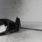 Retroviseur gauche SEAT IBIZA 3