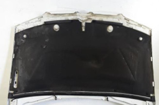 Capot PEUGEOT PARTNER 1 Photo n°8