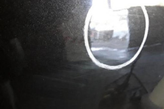 Porte arriere gauche DACIA SANDERO 1 Photo n°3