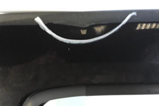 Porte arriere gauche DACIA SANDERO 1 Photo n°4