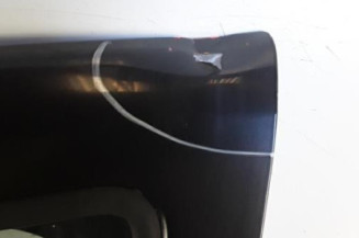 Porte avant gauche DACIA SANDERO 1
