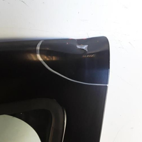 Porte avant gauche DACIA SANDERO 1