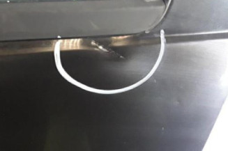 Porte avant gauche DACIA SANDERO 1 Photo n°3
