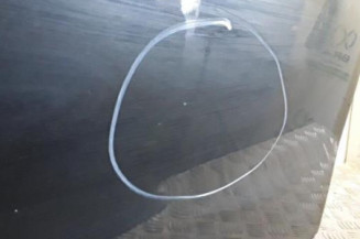 Porte avant gauche DACIA SANDERO 1 Photo n°4