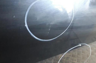 Porte avant gauche DACIA SANDERO 1 Photo n°5