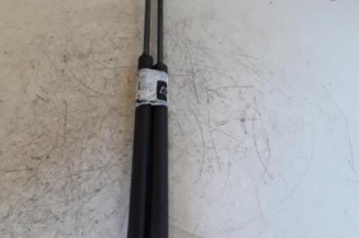 Verin de coffre CITROEN C3 1