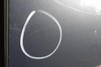 Porte arriere gauche NISSAN QASHQAI 1 Photo n°3