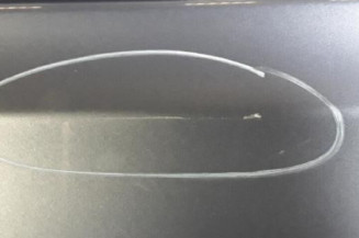 Porte arriere gauche NISSAN QASHQAI 1 Photo n°5