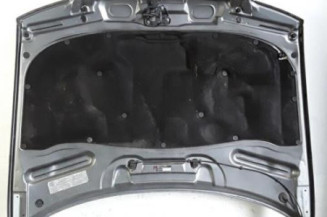 Capot AUDI A4 1 Photo n°8