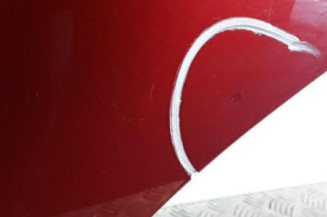Porte arriere gauche SEAT IBIZA 3 Photo n°4