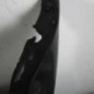 Pare choc arriere CITROEN C3 PLURIEL