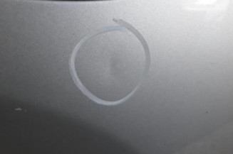 Porte arriere droit HYUNDAI SANTA FE 1