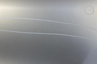 Porte arriere gauche HYUNDAI SANTA FE 1