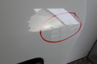 Porte arriere gauche RENAULT MEGANE 3