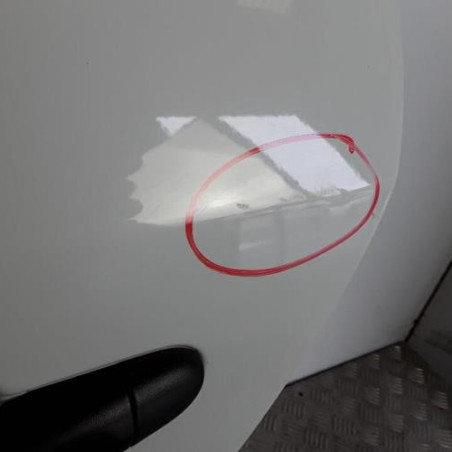 Porte arriere gauche RENAULT MEGANE 3
