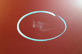 Porte avant gauche CITROEN C4 1