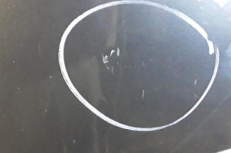 Porte arriere gauche CITROEN C4 PICASSO 1