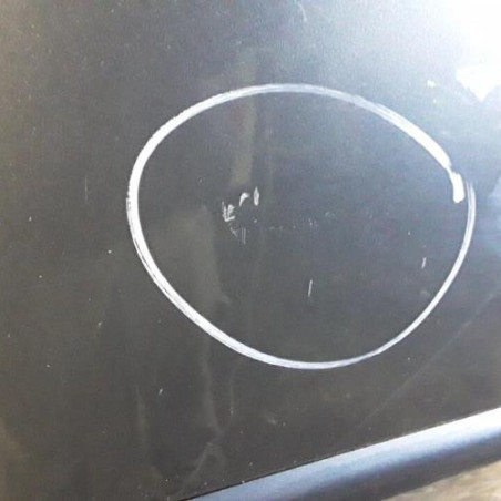 Porte arriere gauche CITROEN C4 PICASSO 1