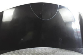 Capot RENAULT CLIO 3 Photo n°1