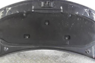 Capot RENAULT CLIO 3 Photo n°7