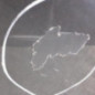 Porte avant droit OPEL INSIGNIA 1