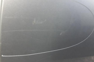 Porte arriere gauche CITROEN C4 1