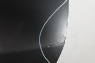 Porte arriere gauche RENAULT MEGANE 3