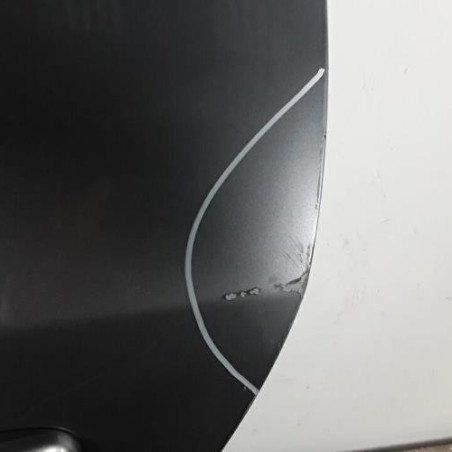 Porte arriere gauche RENAULT MEGANE 3