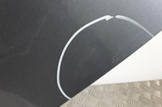 Porte arriere gauche RENAULT MEGANE 3 Photo n°4