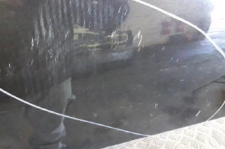 Porte arriere gauche NISSAN QASHQAI 1 Photo n°3