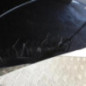 Porte arriere gauche NISSAN QASHQAI 1
