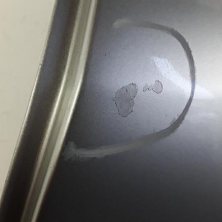 Porte arriere gauche RENAULT MEGANE 3