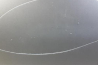 Porte arriere gauche RENAULT MEGANE 3 Photo n°3