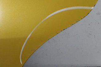 Porte arriere gauche HONDA JAZZ 3 Photo n°6