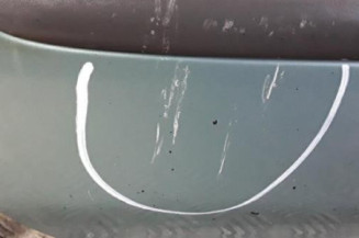 Porte avant gauche NISSAN ALMERA TINO Photo n°5