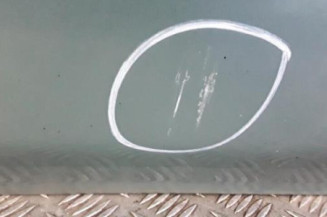Porte avant gauche NISSAN ALMERA TINO Photo n°6