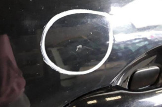 Porte arriere gauche RENAULT MEGANE 3 Photo n°3