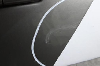 Porte arriere gauche CITROEN C4 PICASSO 1 Photo n°4