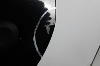 Porte arriere gauche VOLKSWAGEN GOLF PLUS Photo n°5