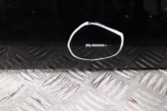 Porte arriere gauche VOLKSWAGEN GOLF PLUS Photo n°6