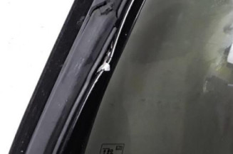 Porte arriere gauche VOLKSWAGEN GOLF PLUS Photo n°8