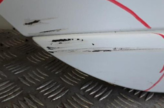 Porte arriere droit RENAULT MEGANE 3 Photo n°4