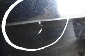Porte arriere gauche VOLKSWAGEN PASSAT 5 Photo n°3