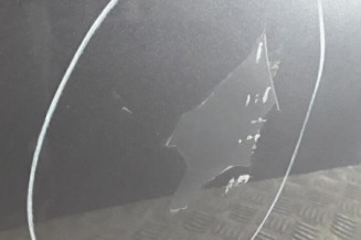 Porte avant gauche CITROEN C4 1
