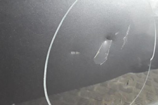 Porte avant gauche CITROEN C4 1 Photo n°3