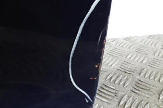 Porte avant droit VOLKSWAGEN CADDY 3 Photo n°5