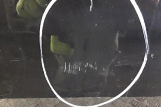 Porte arriere gauche BMW SERIE 1 E87